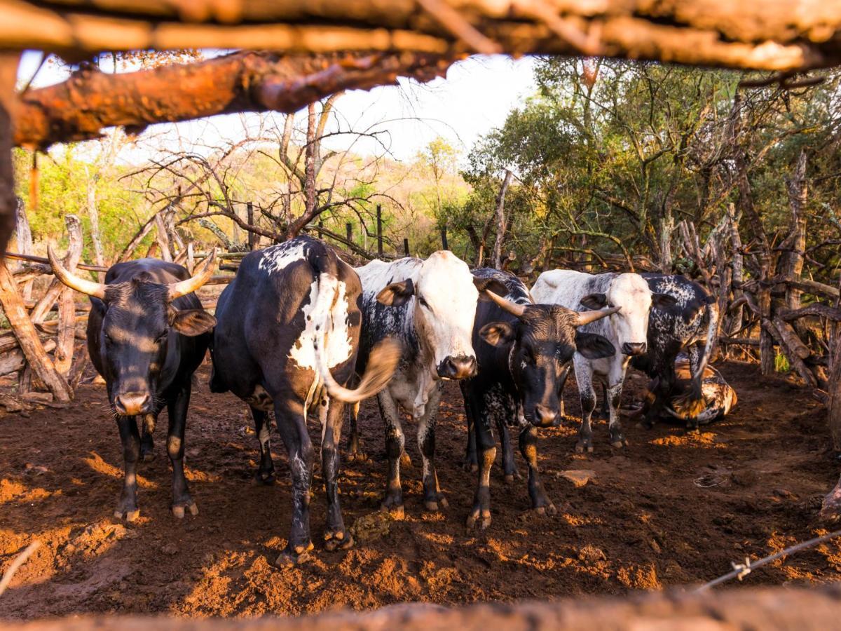 Aha Lesedi African Lodge & Cultural Village Broederstroom Luaran gambar